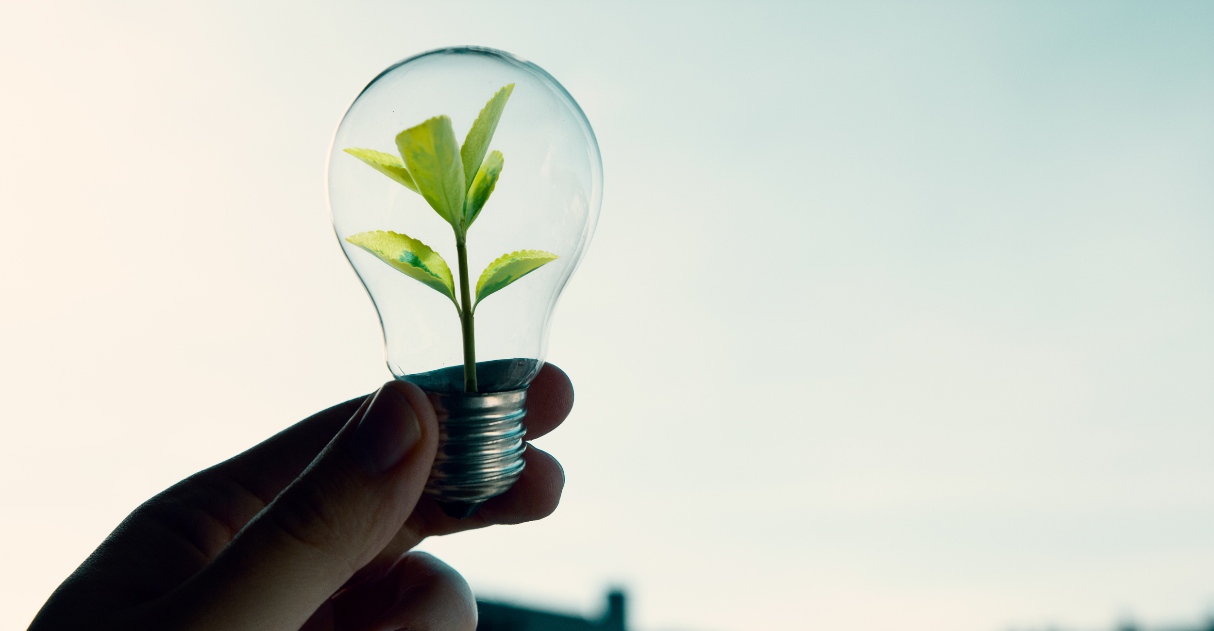 Sustainable Money Habits: How Digital Banking Helps Reduce Waste
